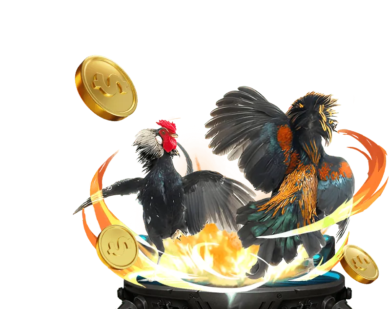 Rút tiền nhanh chóng